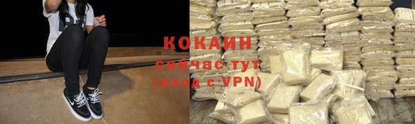 твердый Горно-Алтайск