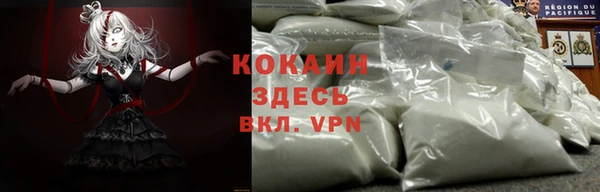 твердый Горно-Алтайск