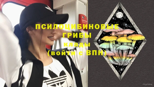 твердый Горно-Алтайск