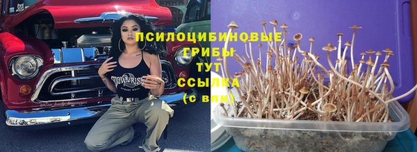 твердый Горно-Алтайск