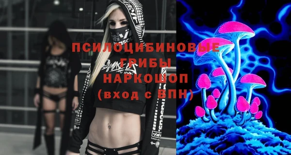 твердый Горно-Алтайск